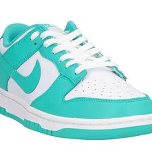 Brand New Never Worn Ladies size 9 Teal Dunks Teal and White Sneakers